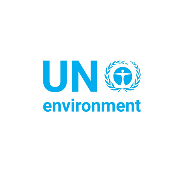UN environment